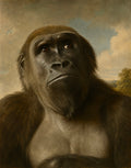 Female Gorilla — A Quiet Majesty, School of George Stubbs