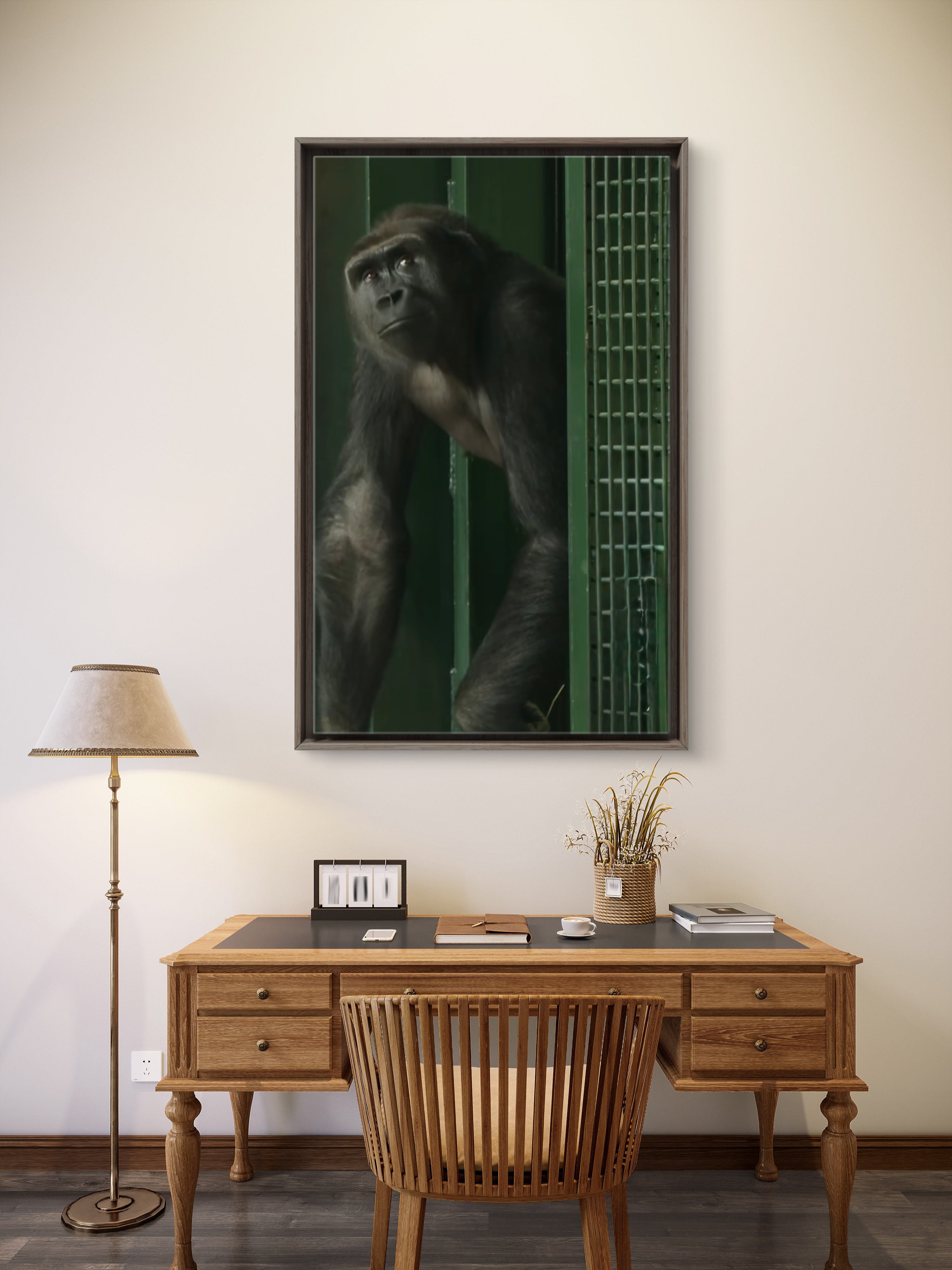 Female Gorilla — First Light at the Threshold, School of George Stubbs