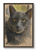 Charlie — Portrait of a Grey Cat