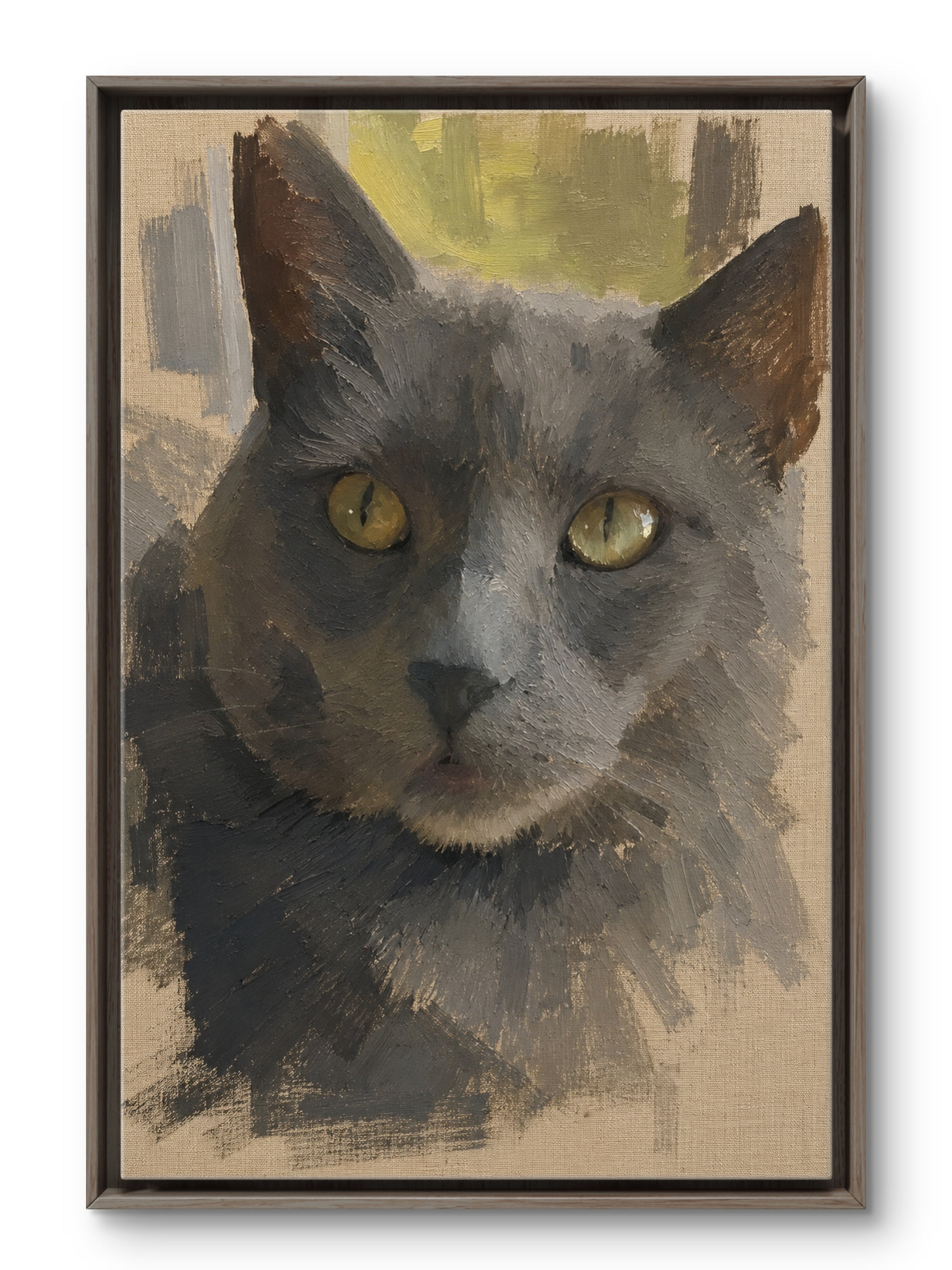 Charlie the grey cat