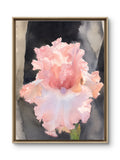 Open Pink Peony — After Georgia O'Keeffe