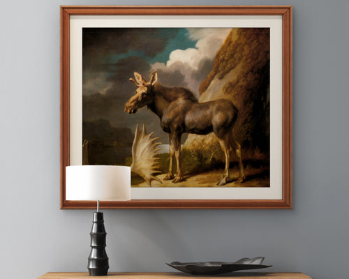 "Moose with Antlers," school of George Stubbs