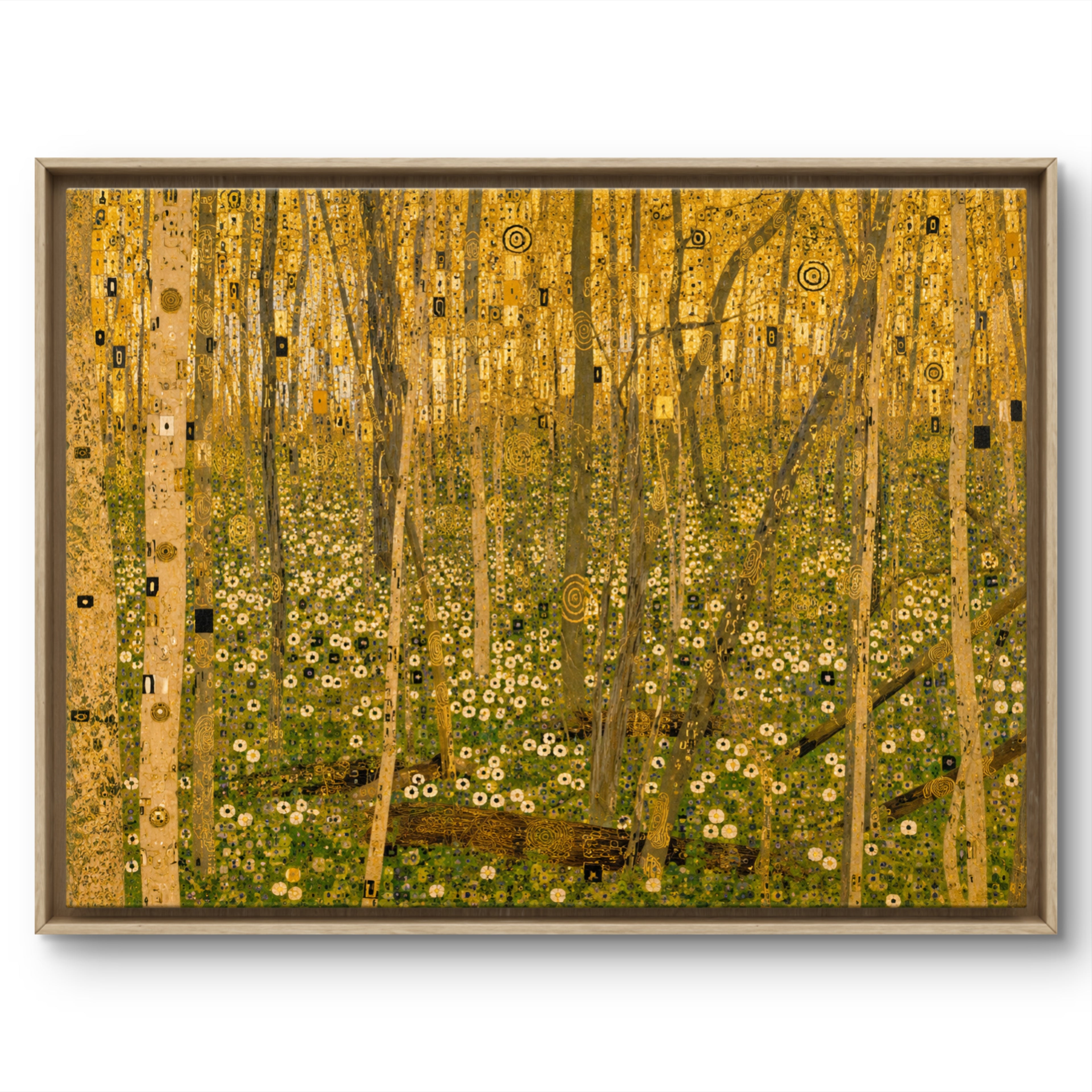 Spring Forest