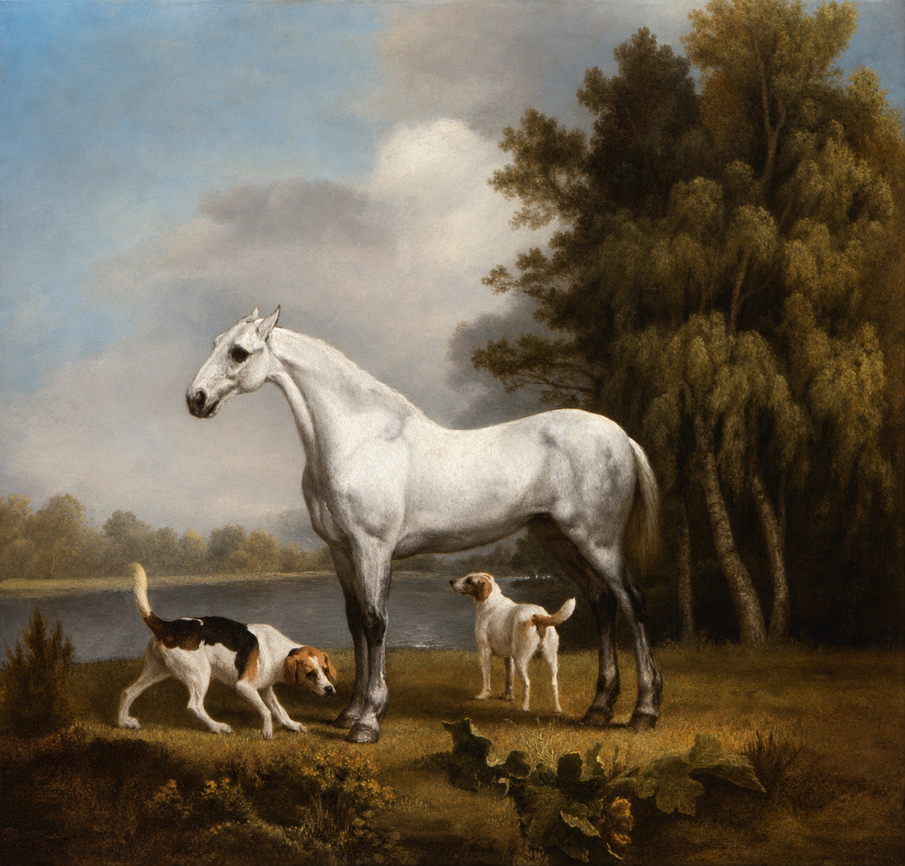 Dapple Grey Hunter with Foxhounds