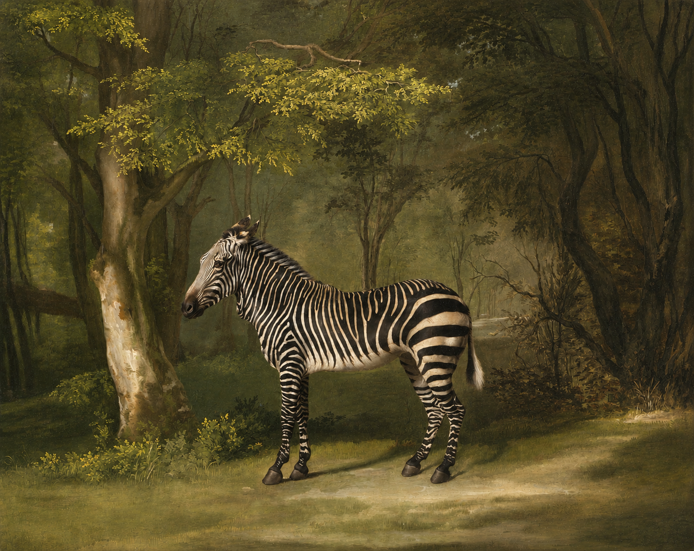 "Plains Zebra," by George Stubbs