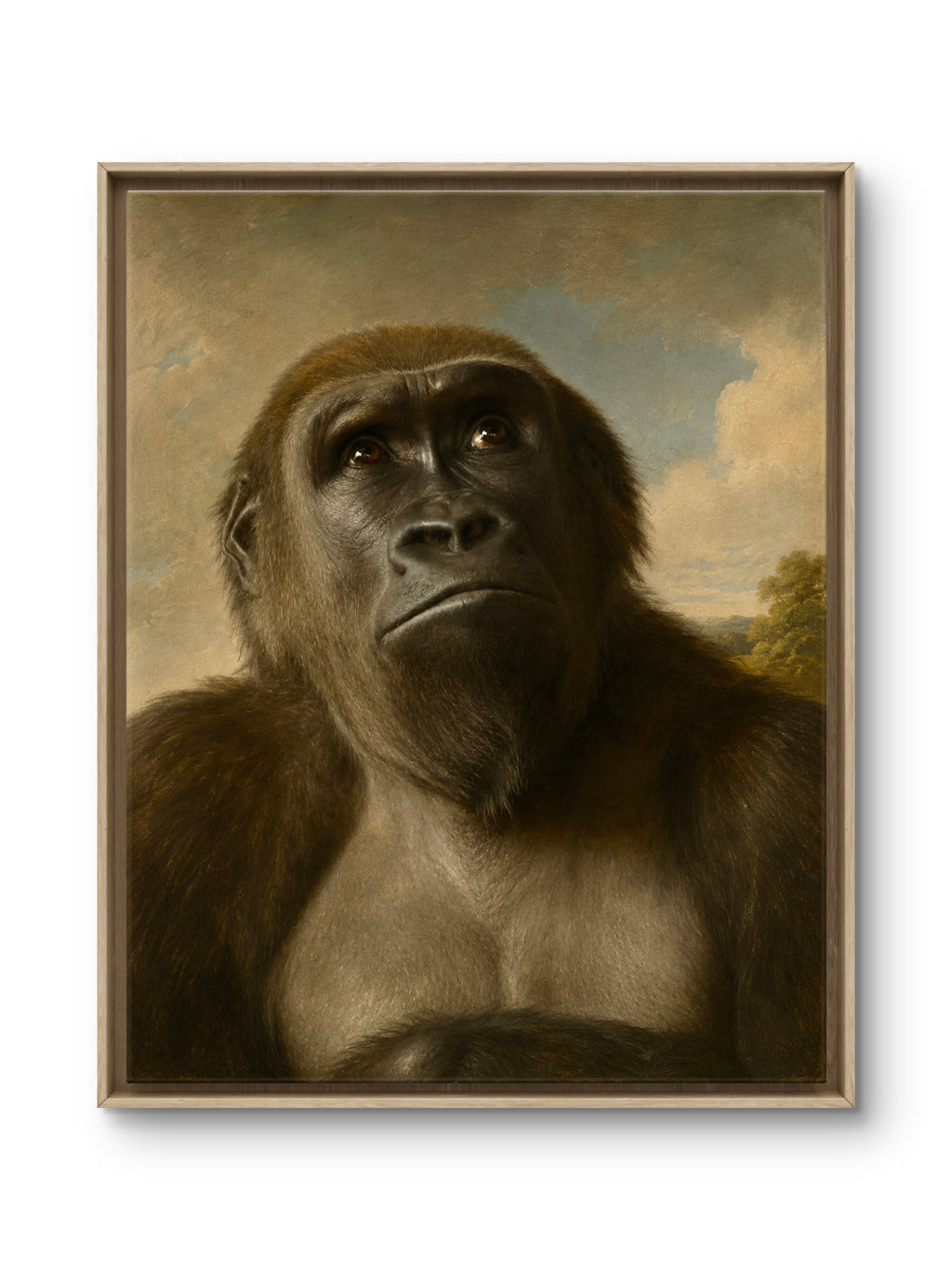 Female Gorilla — A Quiet Majesty, School of George Stubbs